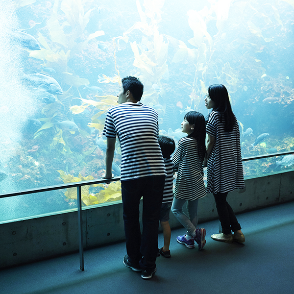 ルートメディア実績 水族館