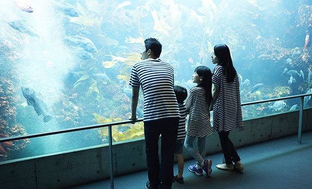 水族館メディア